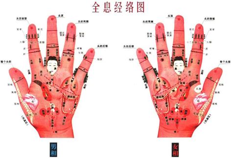 食指代表器官|人人都能学会的手诊——手指与五脏